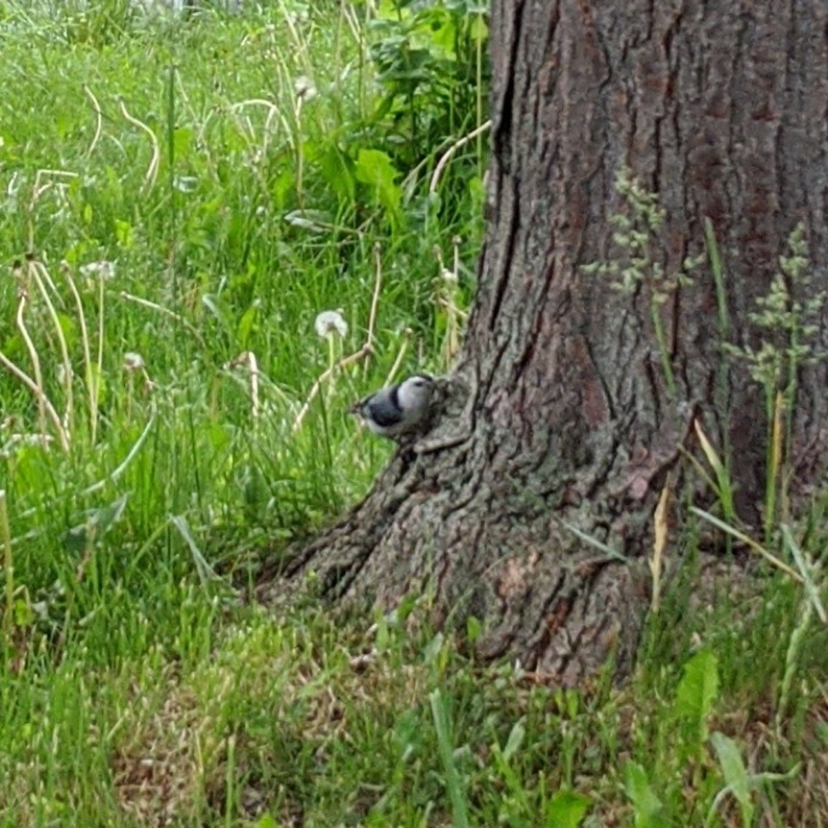 Seillean 🐝 tweet media