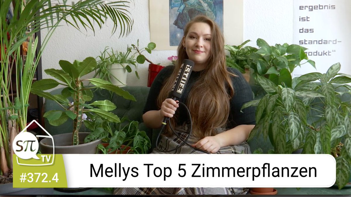 iSTUFFde's tweet photo. [NEU | sPiTV] Top 5, Tag 4: Heute zeigt euch Melly ihre Top 5 Ziimmerpflanzen, die nicht so schnell eingehen. Zum Video geht es hier:

https://t.co/Cq3tQ5HchP

#iSTUFF #FeM #sPiTV #News https://t.co/O5mJ63TGPM
