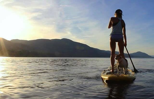 imo_ceo's tweet image. 久しぶりに会った父がこんな事言った。「父さんは緑内障だから、あと5年で目が見えなくなるんだ。(59歳)」

LifeSift100年時代、65歳でそこから先が闇の人生はつまらんだろう。

それからの僕は #高齢者 #余生 #楽しい場所 を創る事をずっと考えている。ただ金持ちってselfish💧