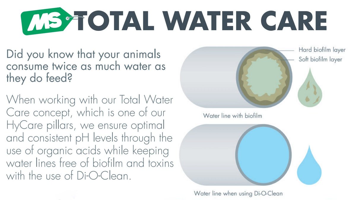 SchippersCanada's tweet photo. Have you checked your lines lately for biofilm? Call today for a free waterline inspection and consultation! https://t.co/8KCskTYb0Z