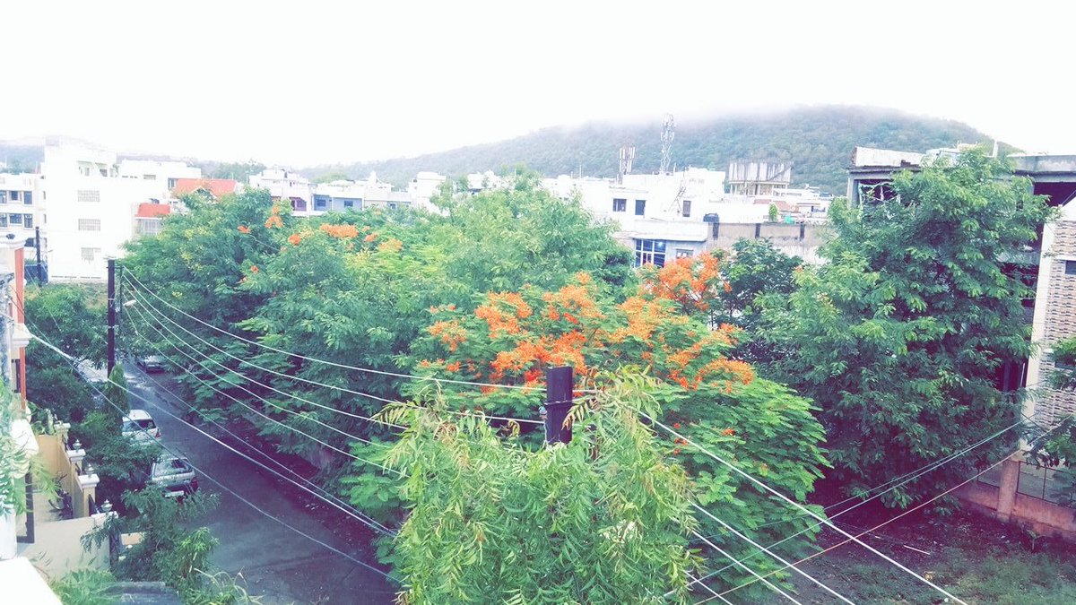 phalgunibose's tweet photo. Amidst all the mishappenings in the country and around the world, wishing that may you have a pleasant day just like the weather in #Bhopal right now. 🌨
#thursdaymorning #CycloneEffects #CycloneNisarga https://t.co/hkYq5ISObw