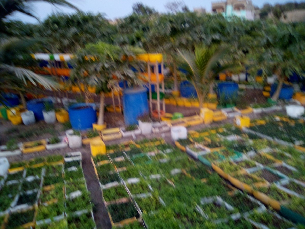Khady24803799's tweet photo. Un ingénieux système de recyclage avec des plants de menthe prêts à emporter. https://t.co/3ARWwmxKy5