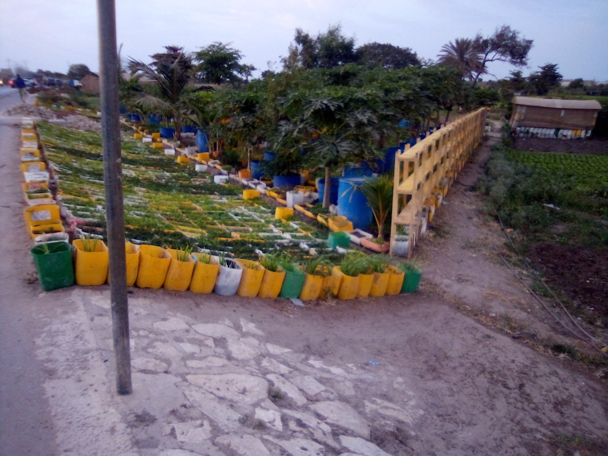 Khady24803799's tweet photo. Un ingénieux système de recyclage avec des plants de menthe prêts à emporter. https://t.co/3ARWwmxKy5