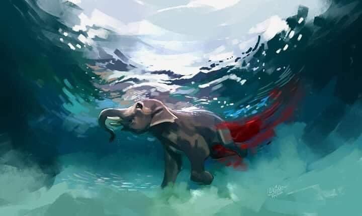 A pregnant elephant in India, Kerala was fed a pineapple stuffed with fire crackers. She tried to save her baby by drinking the river water but failed to, and ended up dying