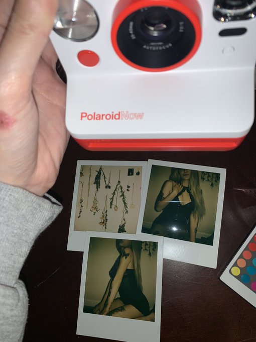 snapped some cute pics tonight https://t.co/nDz856YtLK<a href="/tag/newprofilepic"class="tags"><span>#newprofilepic</span></a>