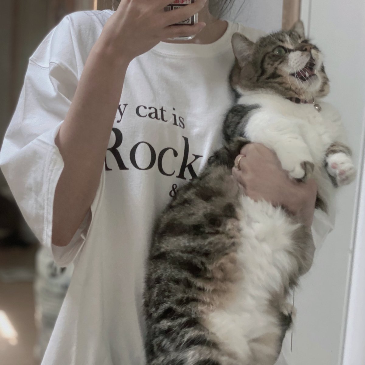 มัมหมู🐈‍⬛💨 tweet media
