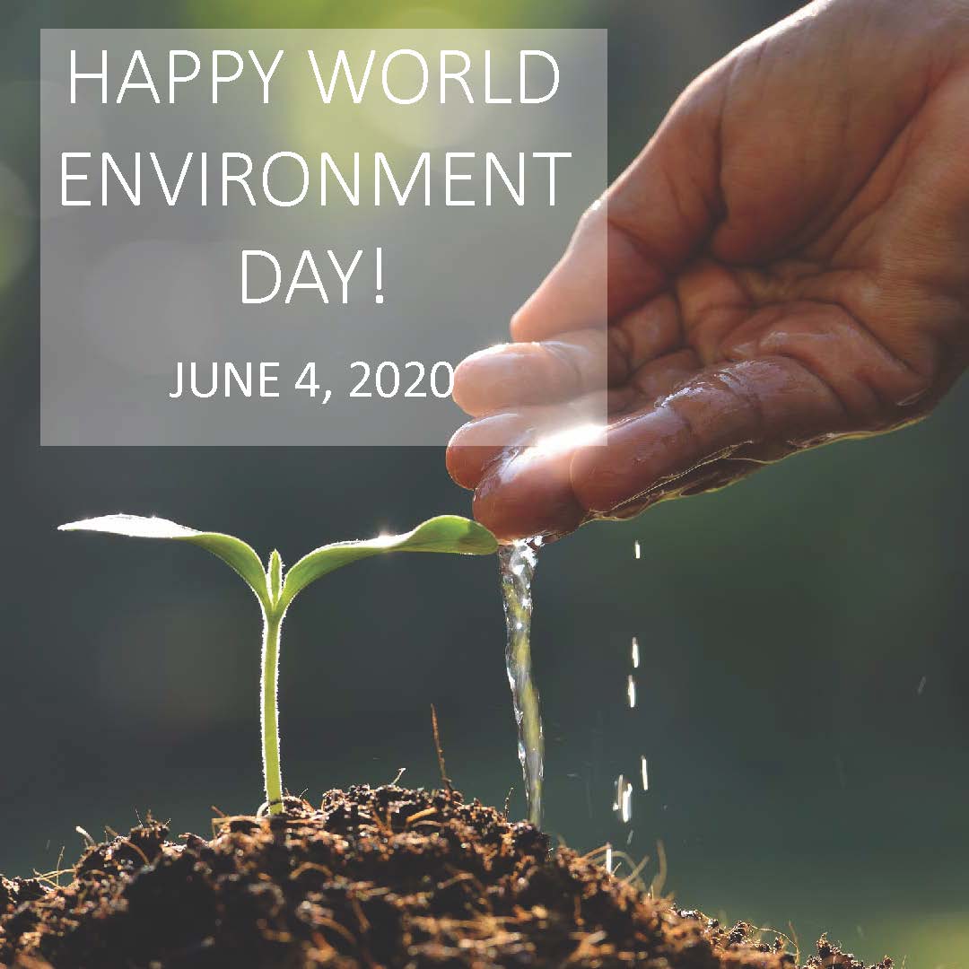 GSGMaui's tweet image. World Environment Day: Learn how all living things on Earth are connected in the web of life and how we can act #ForNature Click here 👉🏽 bit.ly/2Mu72M2 for an extensive list of events hosted by the UNEP and supporters. #worldenvironmentday #unenvironmentprogramme