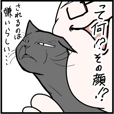 なぜされるのは嫌がるのか・・・
#猫 