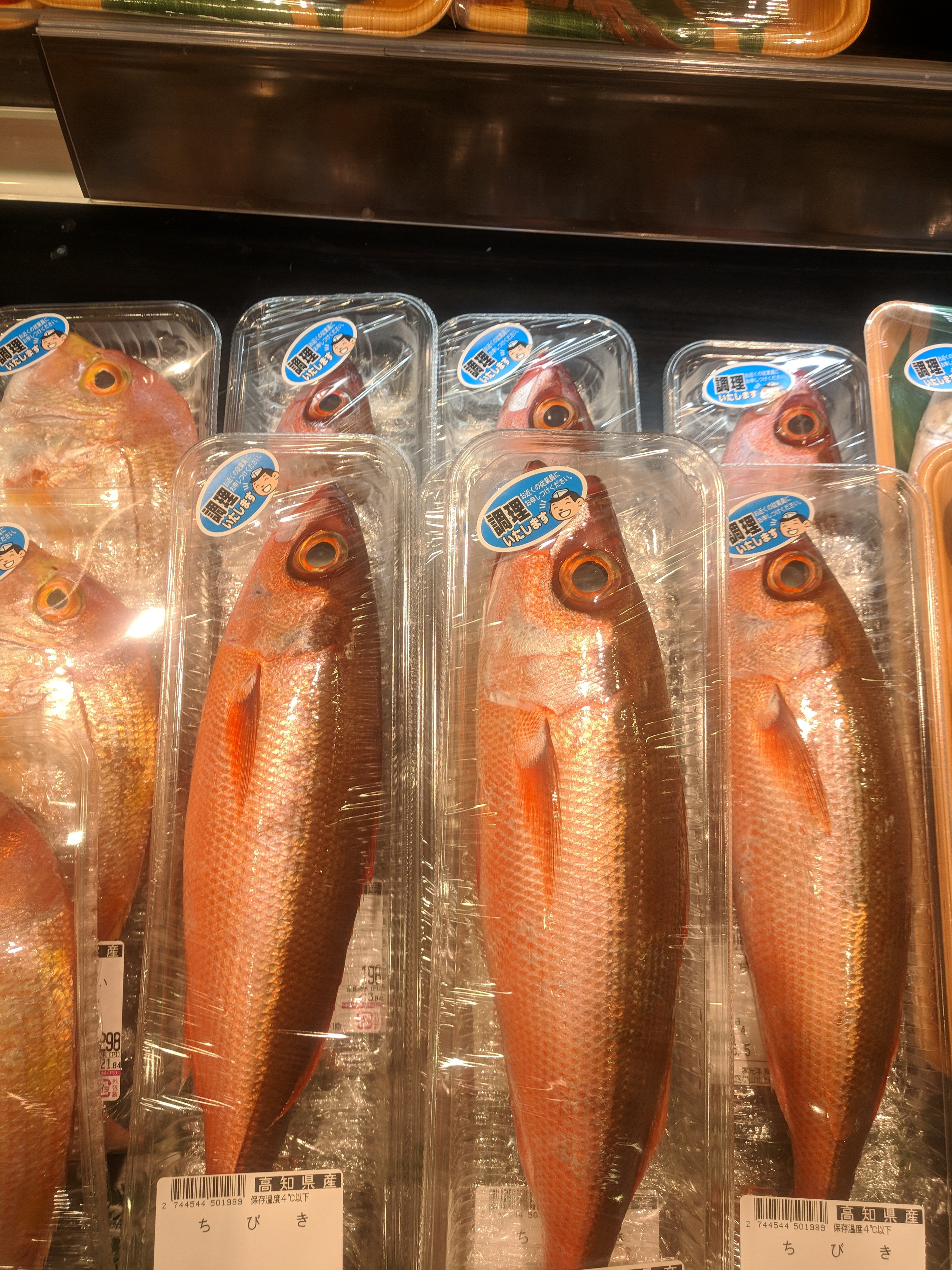 Dogu The Fisher 今日の魚 チビキ 正確にはハチビキかな 職場近所のスーパーで見つけた めっちゃ珍しいんちゃうかな 買ったので晩御飯にするぞー初めて食べる魚はむやみにワクがムネムネする T Co 5wacc7mt5l Twitter