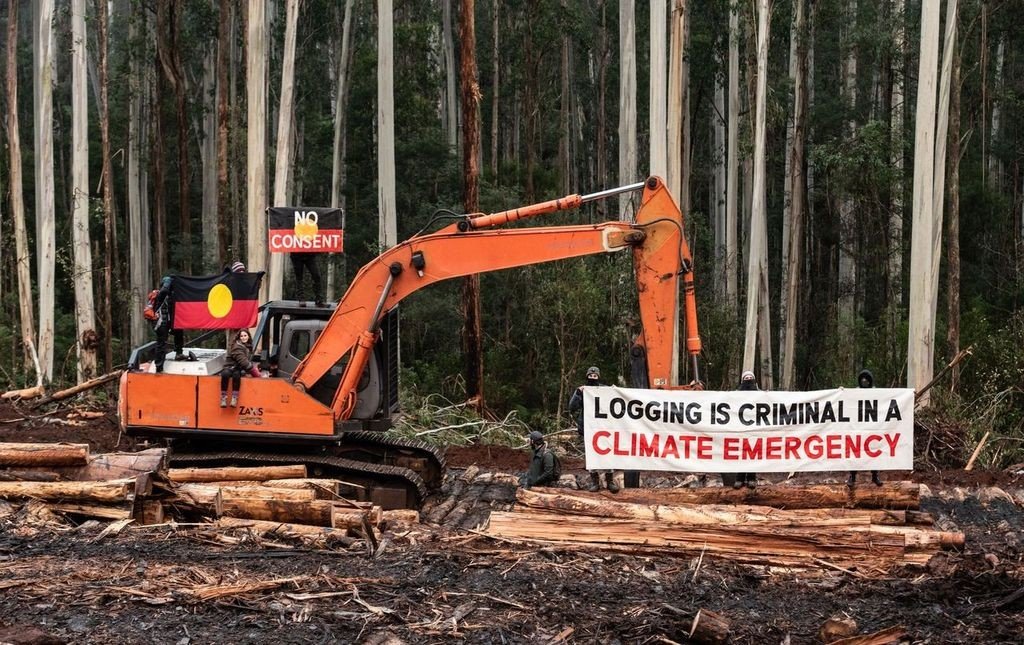 Ecoshouting's tweet photo. No logging at Big Pat's Creek today as community walk in. Logging halted in Toolangi &amp; trucks turned away. The message loud and clear at Parliament too. 

Protest will continue to "spike" as long as logging continues on #Aboriginal land without consent in a #climateemergency. https://t.co/a0sG6G24Vw