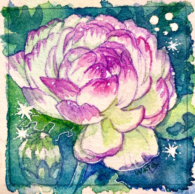 花言葉 高画質 のtwitterイラスト検索結果 古い順 花言葉 高画質 のtwitterイラスト検索結果 古い順