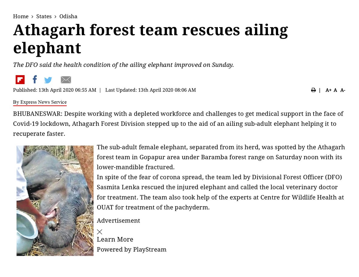 OrissaWild's tweet photo. #Odisha had a similar to #pineapplebomb case in #Athagarh forests. The lower jaw was broken and the #elephant succumbed. Boils down to increasing interface between #wild #Elephants and humans, where the elephant is bound to loose out. @BBSRBuzz @thebetterindia https://t.co/fgxlawANr5