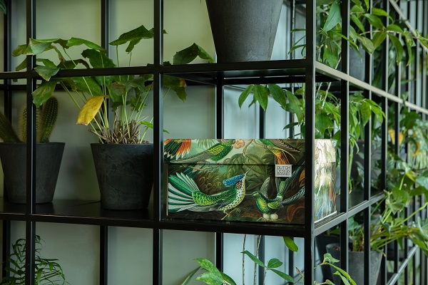 PersWereld's tweet image. Haal de natuur in huis met de opbergboxen van Dutch Design Brand - pers-wereld.nl/persbericht-ha…