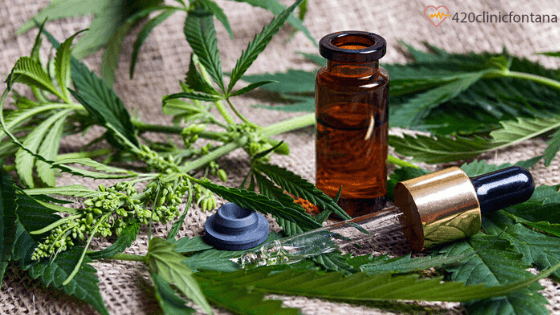 420Fontana's tweet photo. #Marijuana concentrates are high in chemical compounds and terpenes. Learn more about #cannabis concentrates, #oils and extracts &amp; how do they work. More: https://t.co/EmoJvMZ43x
.
.
.
.
.
.
.
.
#MedicalCannabis #MedicalMarijuana #doctors #Fontana #CBDOil https://t.co/4dGQUD3YPy