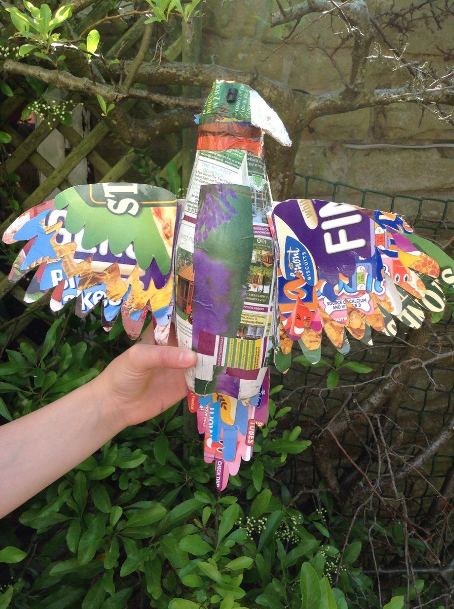 What an exotic creature to find in a North Yorkshire back garden! Another great recycled materials model from Year 7.