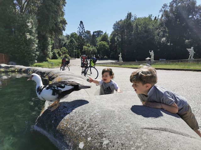 Reggia di Caserta tweet media