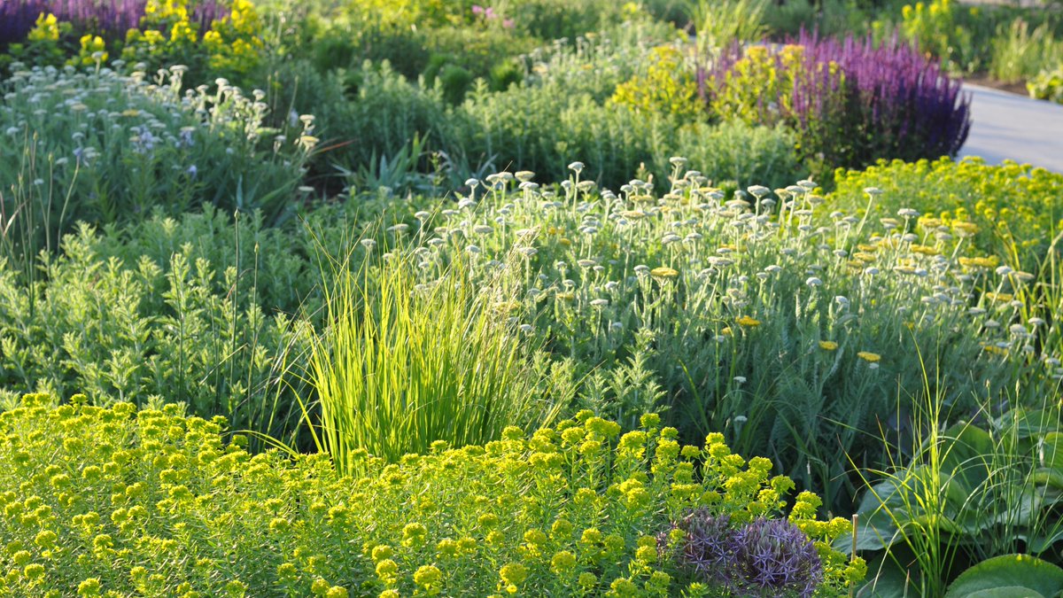 HepworthGallery's tweet photo. 'It is humbling to hear sometimes just how much the garden means to people and as one lady from the nearby apartments said to me “We knew we’d use the garden when you were building it, but we didn’t know how much we needed it”.'
https://t.co/YmHmUJFty4 https://t.co/eRU9zwP1Wu
