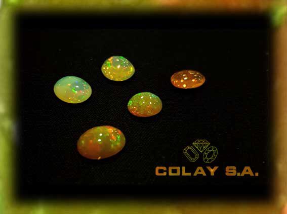 COLAYSA tweet picture