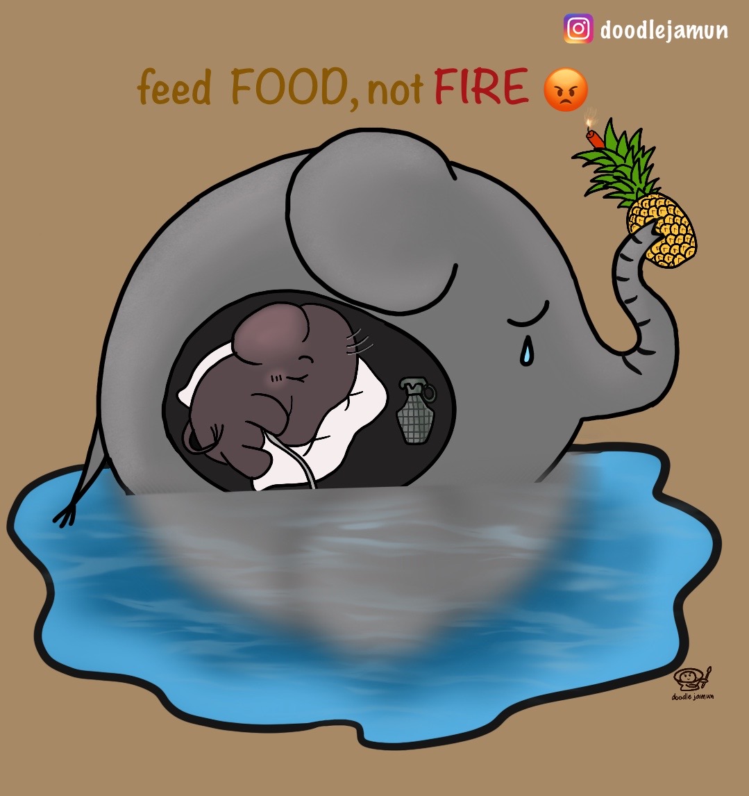 doodlejamun's tweet photo. Its very shocking and painful to the behavior of people who fed the innocent pregnant elephant with pineapple stuffed with crackers. COVID-19 is the 2nd dangerous thing in the world right now. Humans are no-1
#elephantkerala #saveanimals #elephantdeath #RIPHumanity https://t.co/vuMjwkTKko