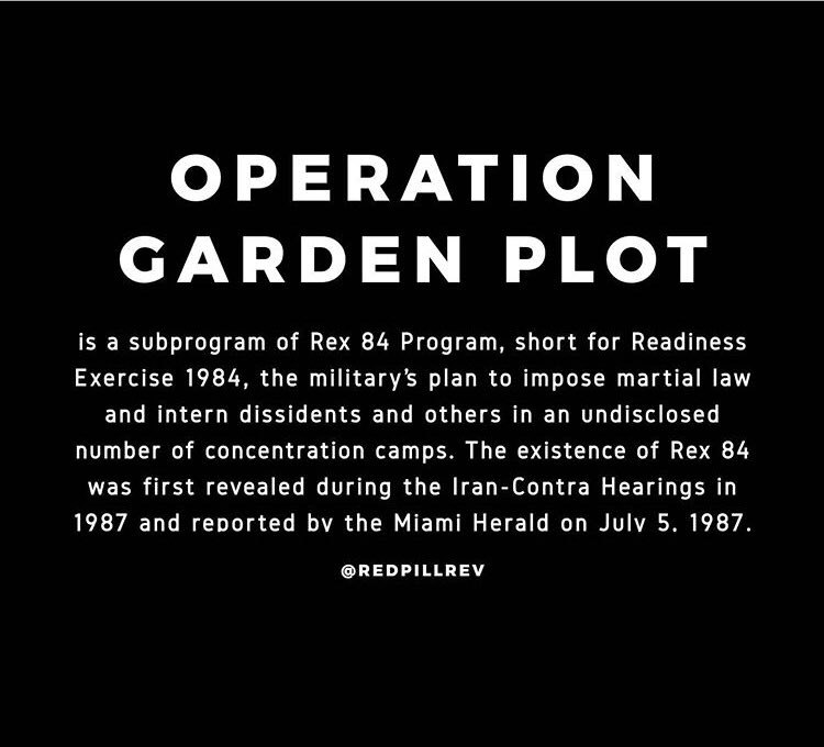 KidsBopKaren3's tweet photo. @YourAnonCentral Knock it off! Your better than this! Truth is... the movement was staged and highjacked! All over the 🌎 similar police knee hold attacks occurred coincidence? National guard has been deployed! Next step is #MarshallLaw aka #OperationGardenplot #Rex84 #OperationCablesplicer https://t.co/1yisbIRvYT