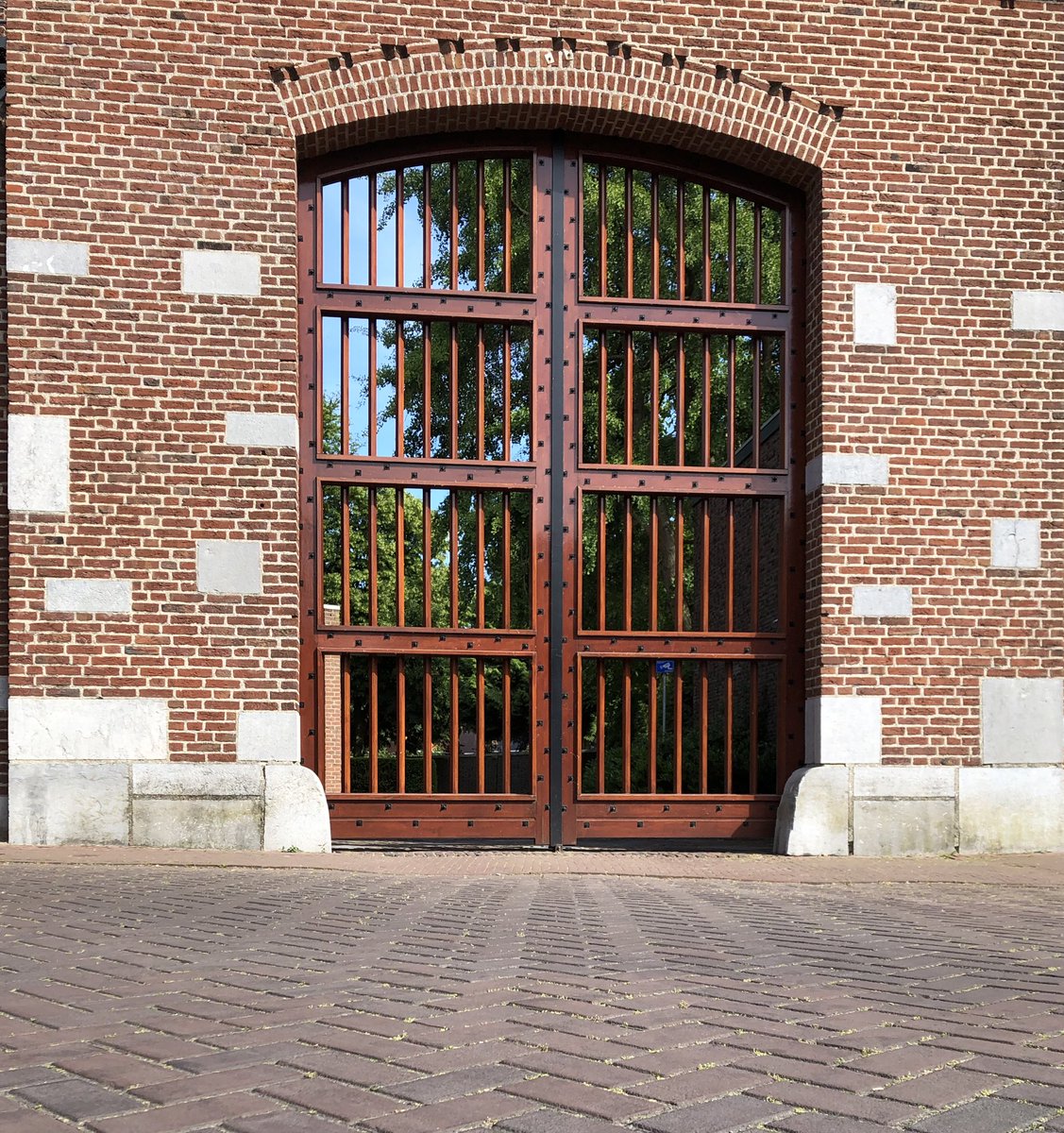 nardkronenberg's tweet image. #mylifeinpictures Day 3/7 no words. I nominate @GuidoRonnes