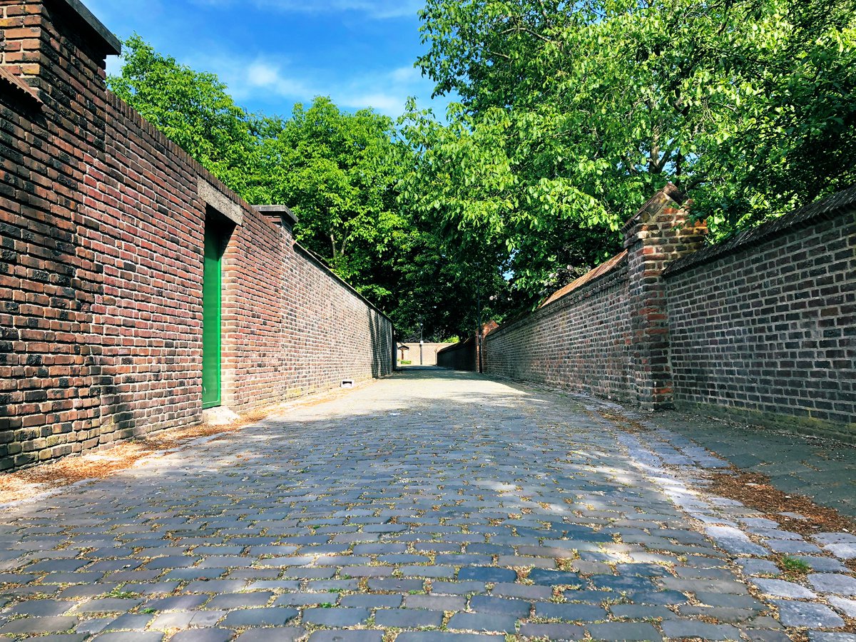 nardkronenberg's tweet image. #mylifeinpictures Day 3/7 no words. I nominate @GuidoRonnes