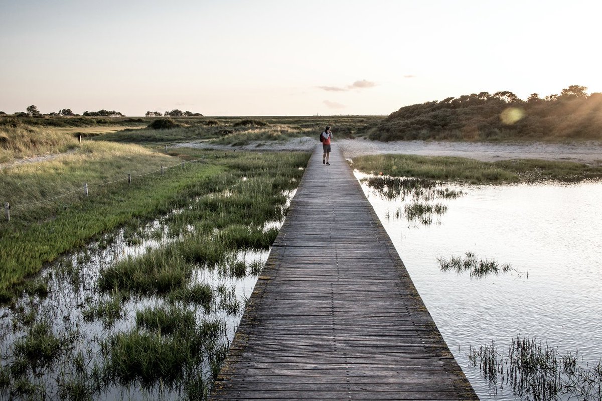 Welke nieuwe impulsen krijgt de 'staycation' door Covid-19? Purpose Lab tipt 5 inspiratiebronnen! De boeken ExpeditieAchtertuin &amp; Bij ons in het dorp, de rubriek #groenopreis en de bewegingen #WelkomteruginNL &amp; #staylocal. 
Blog: purposelabamsterdam.com/nieuws/staycat…