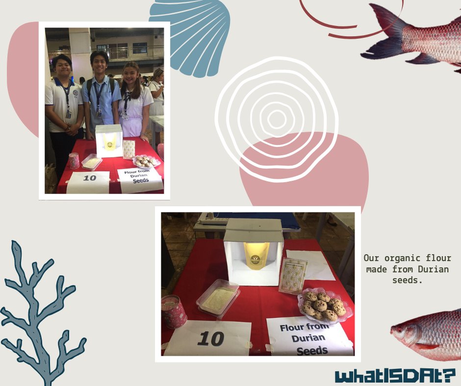 AdDU_AGREES's tweet photo. Aye aye, Captain!
Let us continue sailing into the deep waters with our discovery of Durian Seed Flour.
Follow along the greater depths for more of the exclusive tour of our hidden treasures!
The Pirate Chronicles: Durian Seed Flour
#whatISDAt https://t.co/Aaql3wYcko