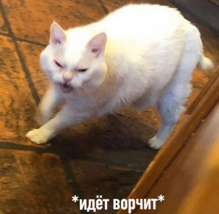 Мне сказали, что это я