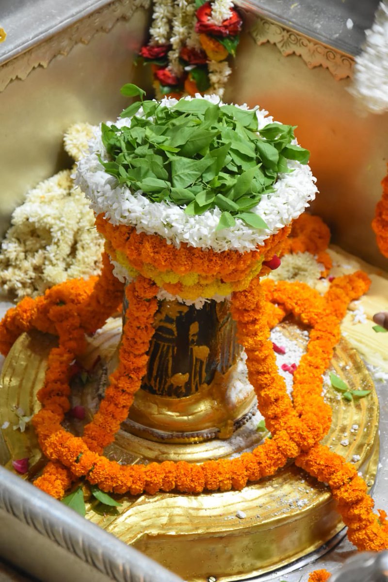 arvind_vajpeyi's tweet image. आज दिनांक 04-06-2020 को श्री काशी विश्वनाथ मंदिर में मंगला आरती।

@ShriVishwanath #ShriKashiVishwanath #ManglaAarti #CorridorProject #CEO #VishalSingh 

#ThursdayThoughts