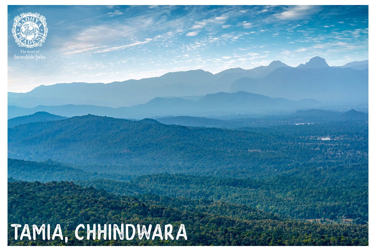 Madhya Pradesh Tourism tweet media