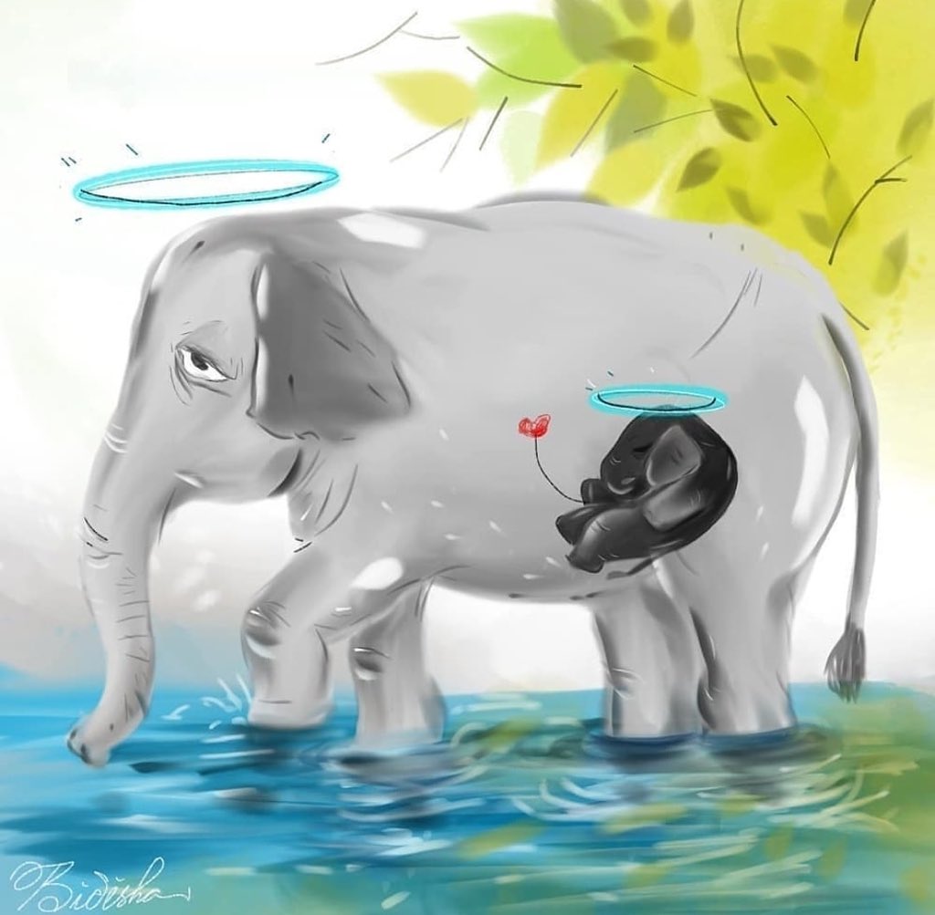 ShahKomal76's tweet photo. Appalled to hear about what happened in Kerala. Let's treat our animals with love and bring an end to these cowardly acts.#animal #animallove #rip https://t.co/8L5fLfS5QL