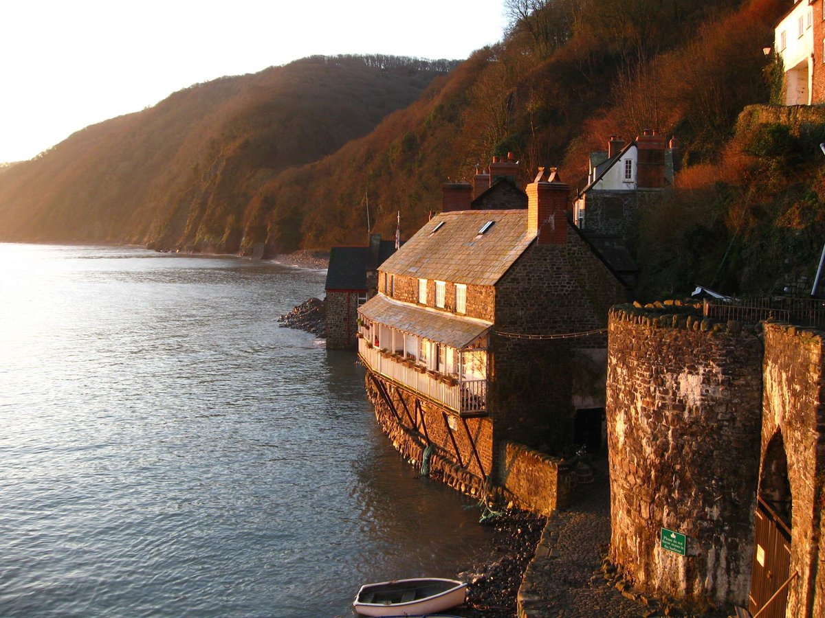 JiggyWrigglersDevon tweet media