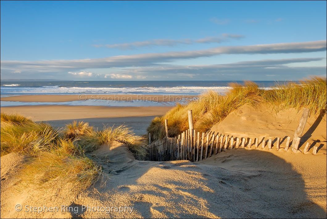 JiggyWrigglersDevon tweet media