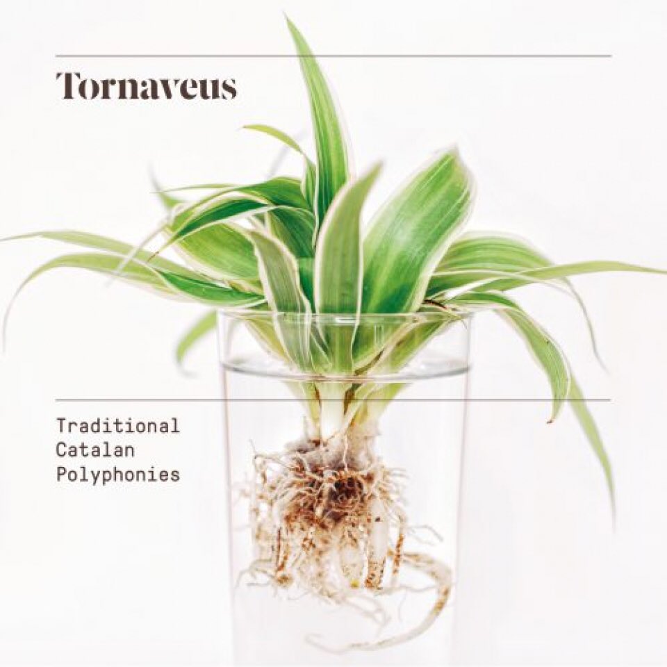 Tornaveus tweet media