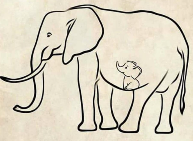 DBackpackerGirl's tweet photo. What a shame on humanity! Are we really humans? I think we truly deserve the jeopardy that 2020 has thrown upon us. Stuffing a pineapple with crackers &amp; killing a preggy elephant is such a monstrous crime. That too in the Gods own country. 👎 #AbToSudharJao #KeralaElephantMurder https://t.co/qsRNfqUQyL