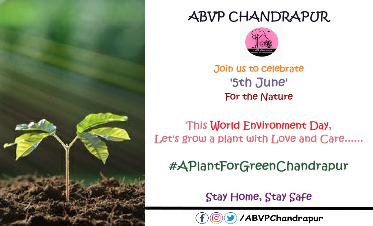 ChandrapurAbvp's tweet photo. Student For Devlopment अंतर्गत
५ जुन २०२० जागतिक पर्यावरण पर्यावरण दिन🌴 निमित्त्य आपण #APlantForGreenChandrapur🌴 ही मोहीम सुरू करीत आहो,आपण सर्वांनी अवश्य सहभाग घ्यावा. #ClickPhoto.आणि आम्हाला पाठवा..
SFD Whatsapp No
9503586643
9527755781
@ABVPVoice @ABVPVidarbha https://t.co/UoCAGOjsR5
