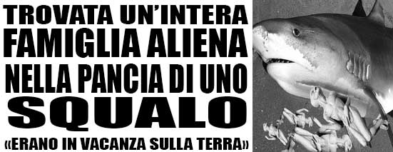 TrascBot's tweet photo. TROVATA UN'INTERA FAMIGLIA ALIENA NELLA PANCIA DI UNO SQUALO: ERANO IN VACANZA SULLA TERRA

https://t.co/I7dgITzeIW https://t.co/nTPwVlgmyA