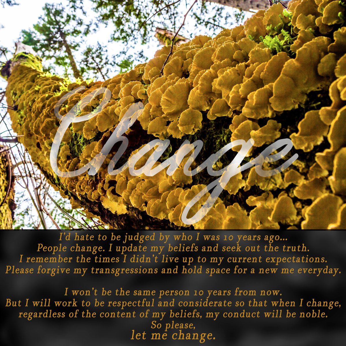 I wrote this the other day