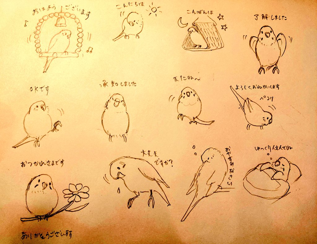 セキセイインコのスタンプを描いています? 