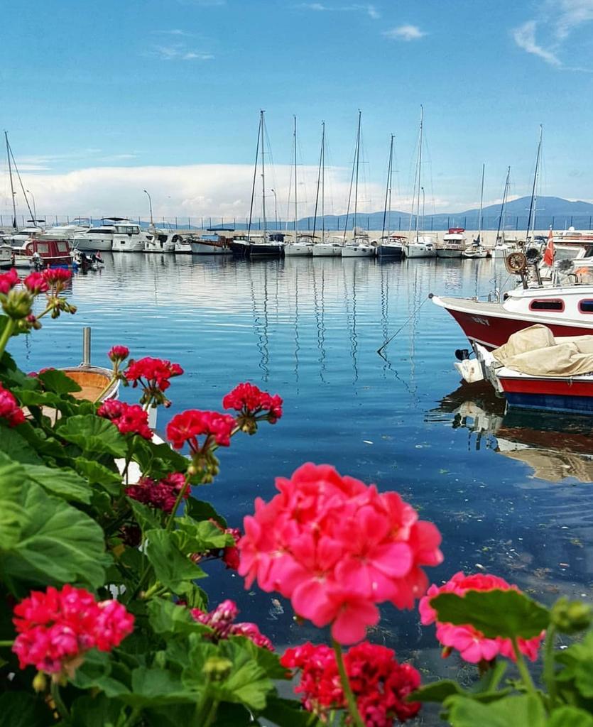 Oysa ben...

Gözlerinin kıyısında kaybolmayı isterdim...

Huzura ermiş şehrin sessiz seyrinde..

Ve...

Karanlığa teslim olmuş sahilin...

En görkemli manzarasında...

Günaydın...Sevgiyle....