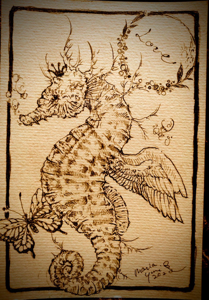 まりあ由実 9月個展 絵に描いた箱舟は空もゆく 下田の森の美術館にて なんとか2枚目 タツノオトシゴ 動物 Seahorse 鉛筆 絵 芸術同盟 まりあ由実 9月個展 絵に描いた箱舟は空もゆく 下田の森の美術館にて なんとか2枚目 タツノオトシゴ 動物 Seahorse 鉛筆 絵 芸術同盟