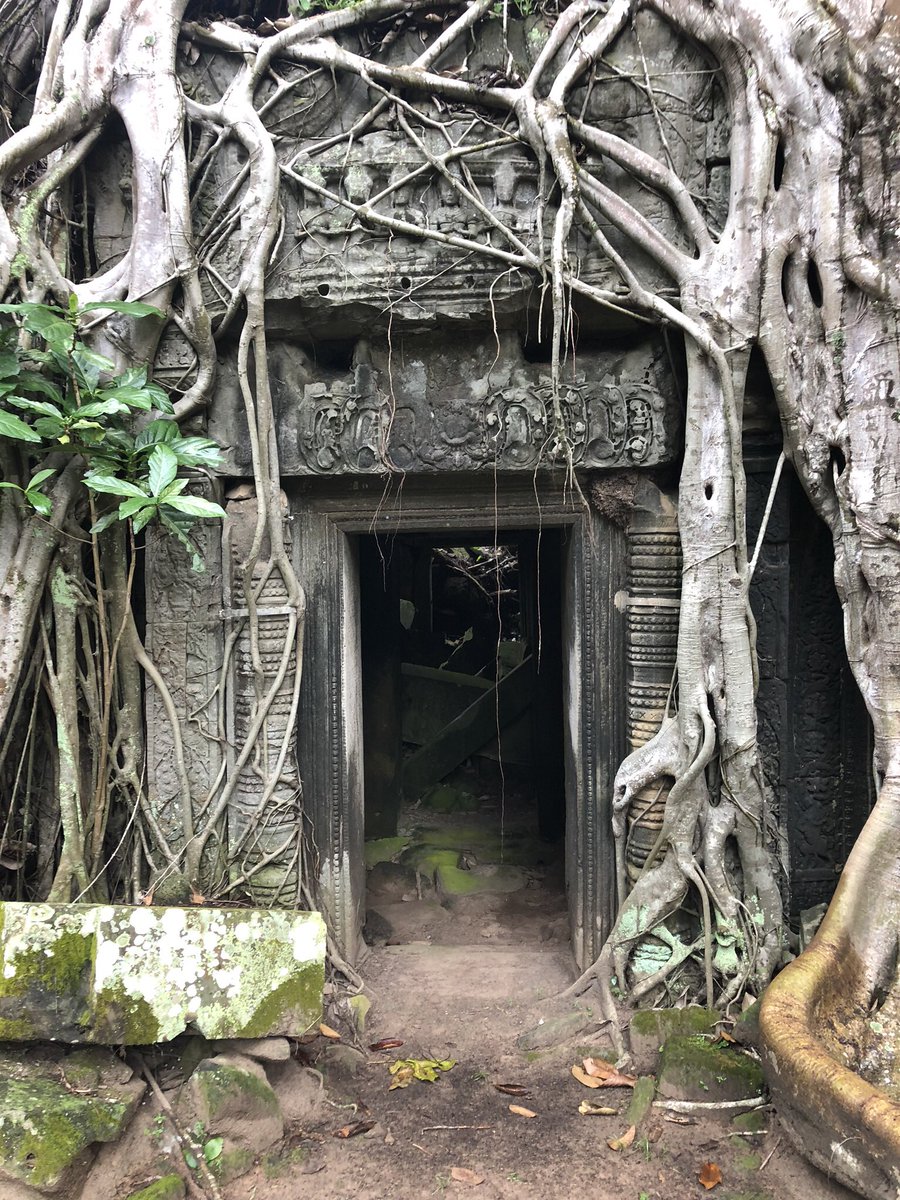 Defenderdriver7's tweet image. Day 6/7 My life in pictures. Rules: no words, no people. Nominate someone new each day. I was nominated by @Alanday10858010 
I nominate @DerekBa95725532