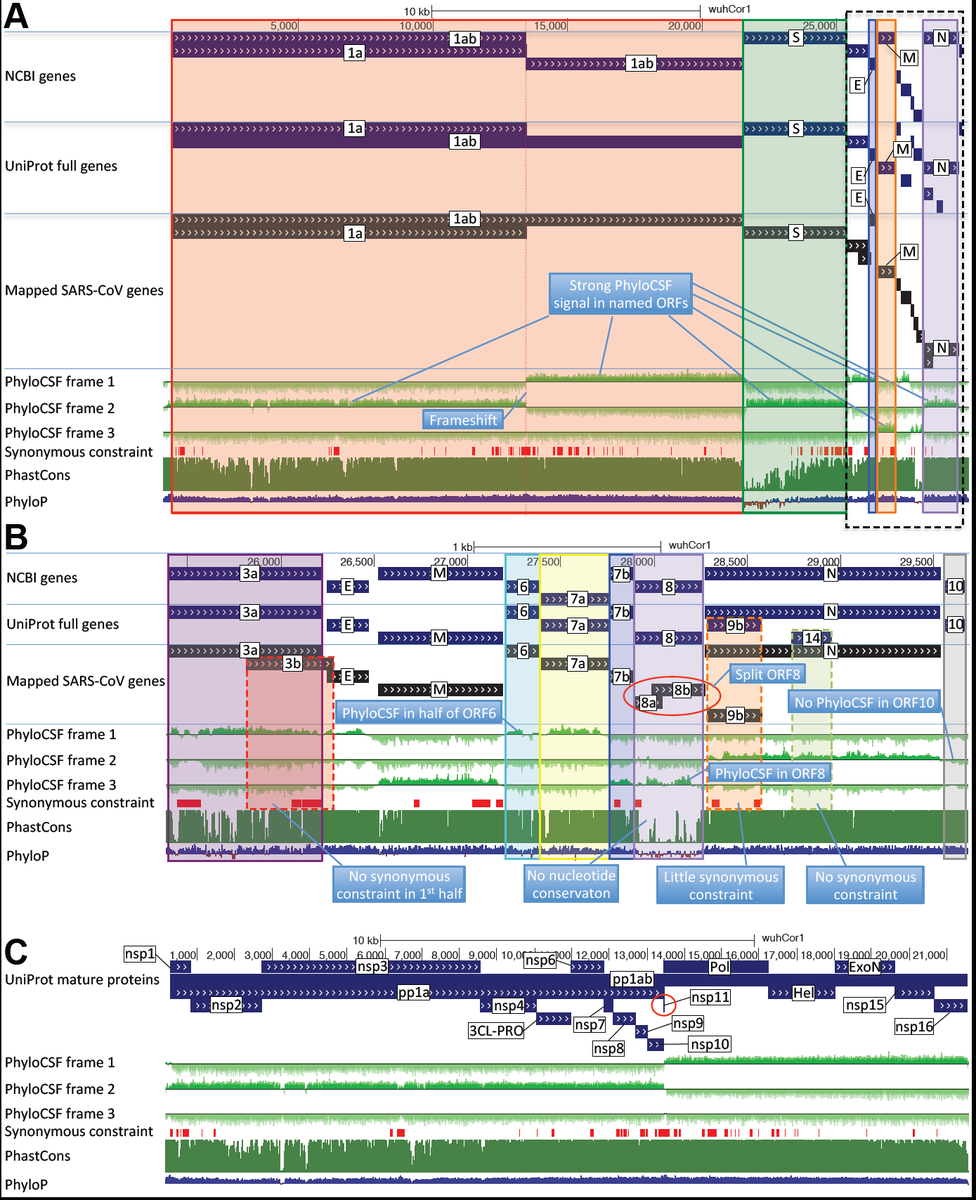 Manolis Kellis tweet media