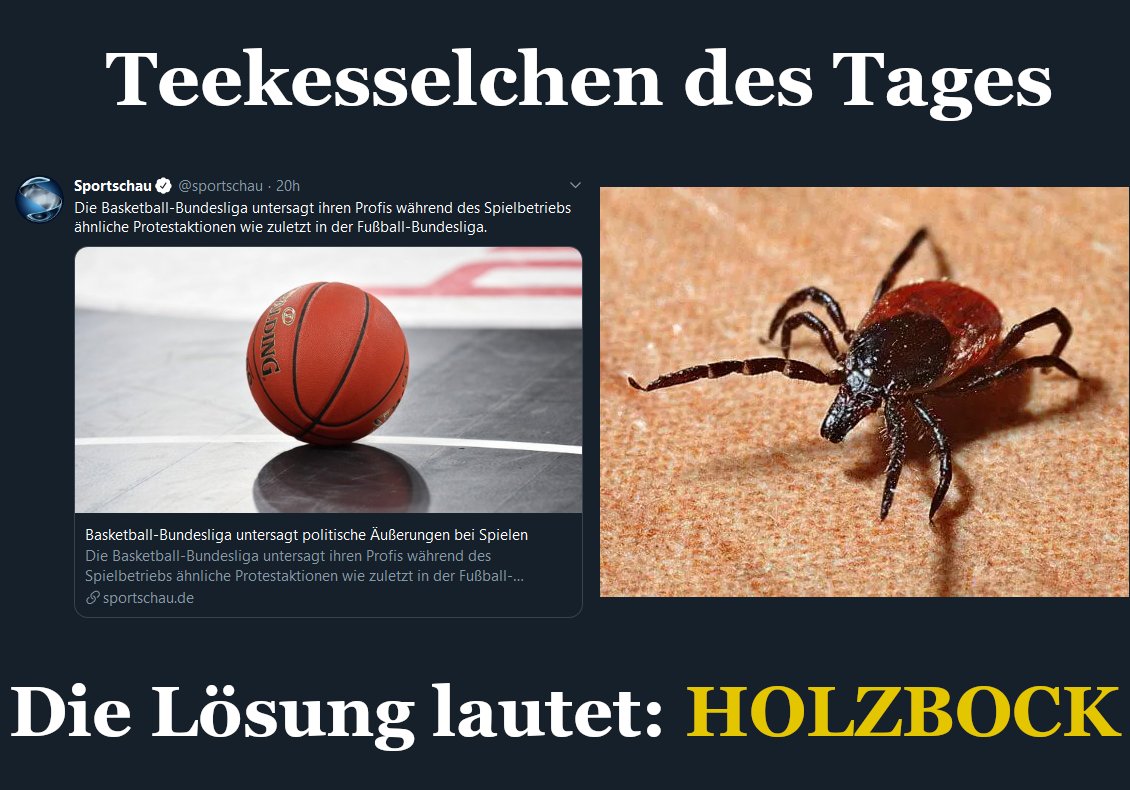 Felix Pflaum (@fixxl) on Twitter photo 