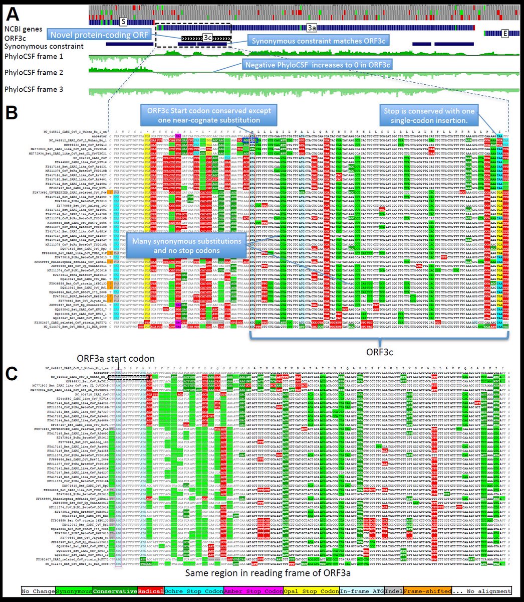 Manolis Kellis tweet media