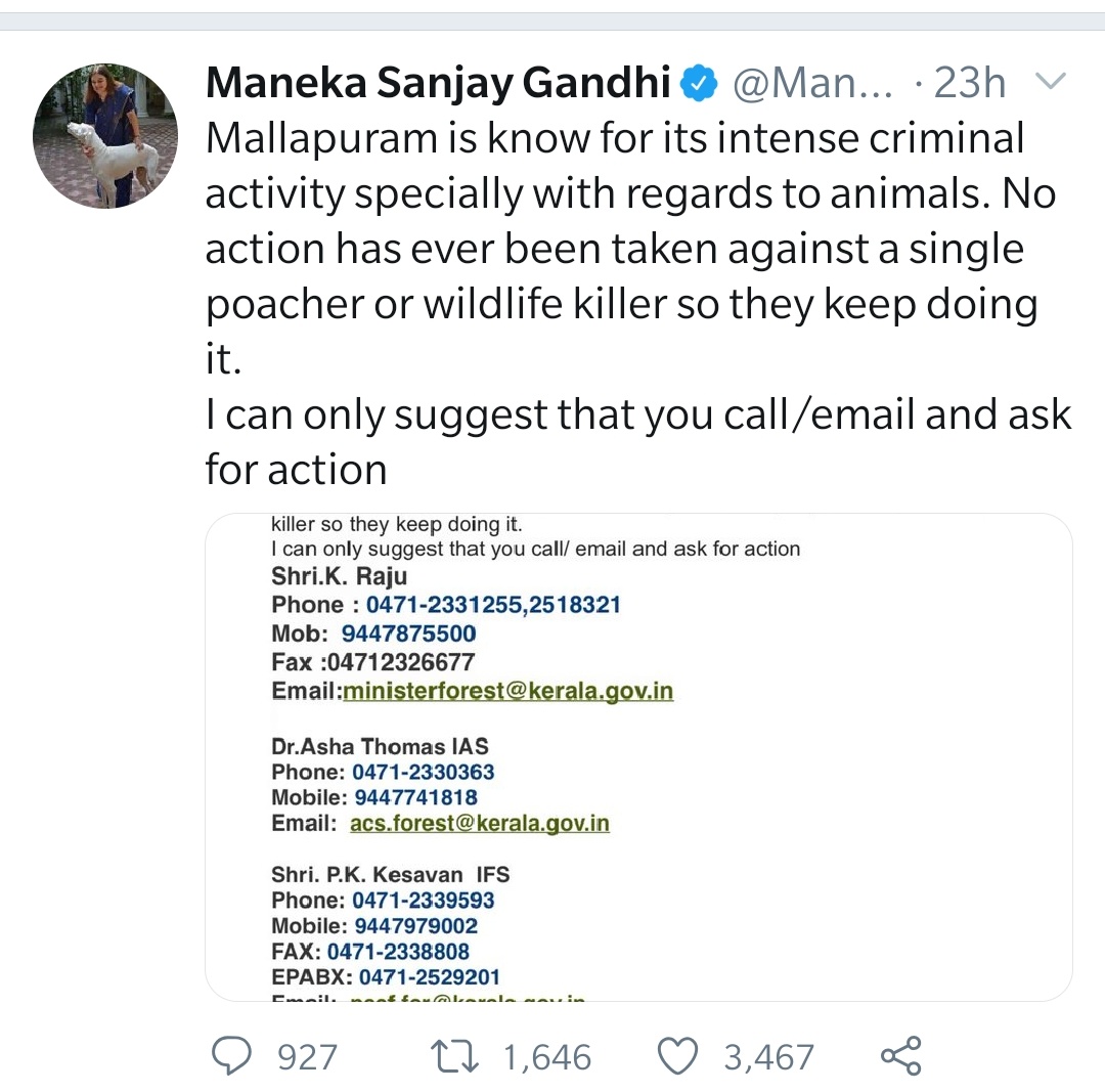 TheMuslimWatch's tweet photo. 2/2
It is in the nature of radical #RSS and #BJP ideologues to blame the #Muslims even before any evidence and investigation. Speaks a lot about their agenda of #hate and #terror. @Manekagandhibjp needs a good lesson in  #HumanRights before advocating for #AnimalRights. https://t.co/TEOOiduUnk
