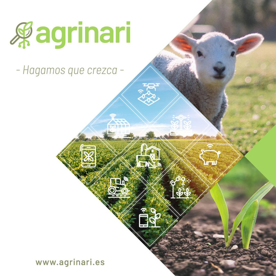fundecoruco's tweet photo. 🚀 @Agrinari1 ganador en el Space de Córdoba #explorerlab

🌍Pasa a fase internacional junto a otros 17 de los 225 proyectos iniciales

Equipo fundador compuesto por 2 Ingenieros Agrónomos egresados de la @ETSIAMCordoba, alumnos del Master @DigitalAgriUCO de @Univcordoba

💪💪💪 https://t.co/gxlOUzICMa