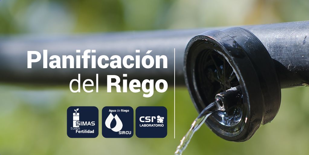 csrlamancha's tweet photo. 💦💧 Reducir la #HuellaHidrica es una necesidad por el medio ambiente y por la economía.
Con los análisis de Agua de Riego #SIRCU y Fertilidad #SIMAS de Suelos, dispondrás de herramientas para planificar el riego, el abonado y anticiparte a problemas.
👇
https://t.co/TCFLSHrYU7 https://t.co/Q2uvAXLepE