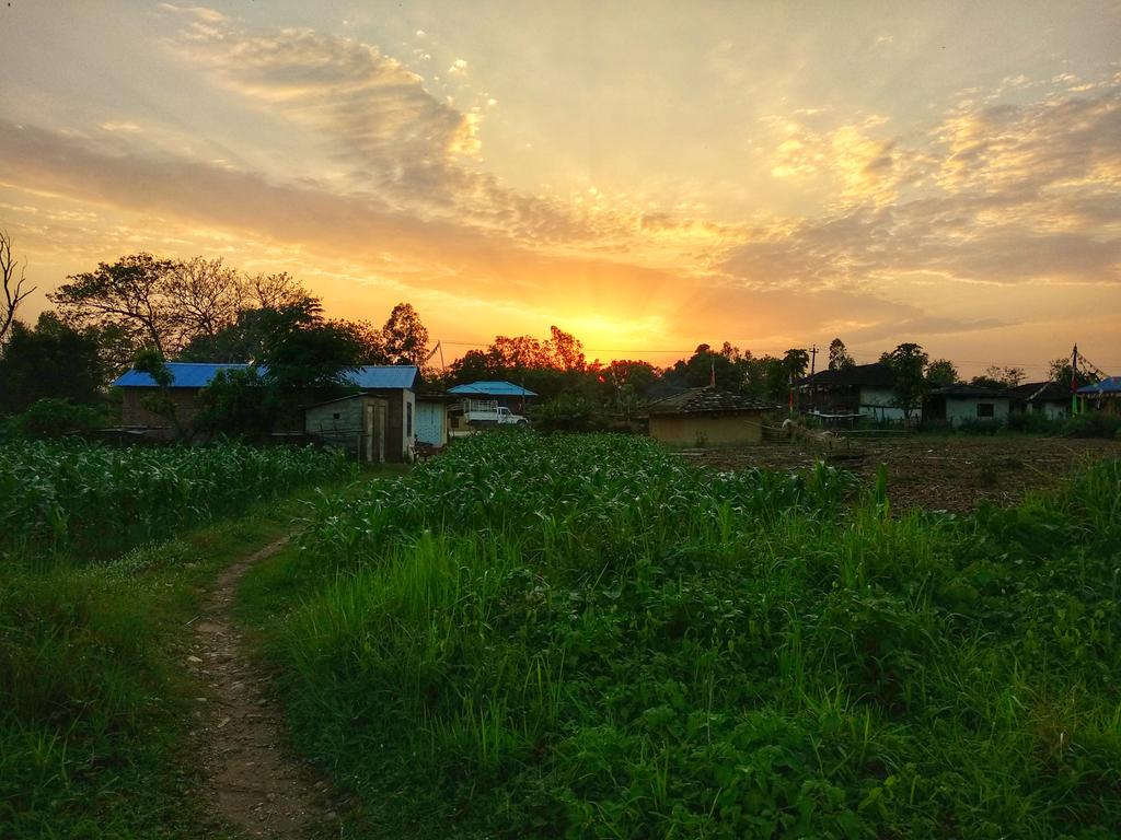 JamesTamang11's tweet photo. Sunset 🙏🇳🇵 https://t.co/omMCGFPqkP